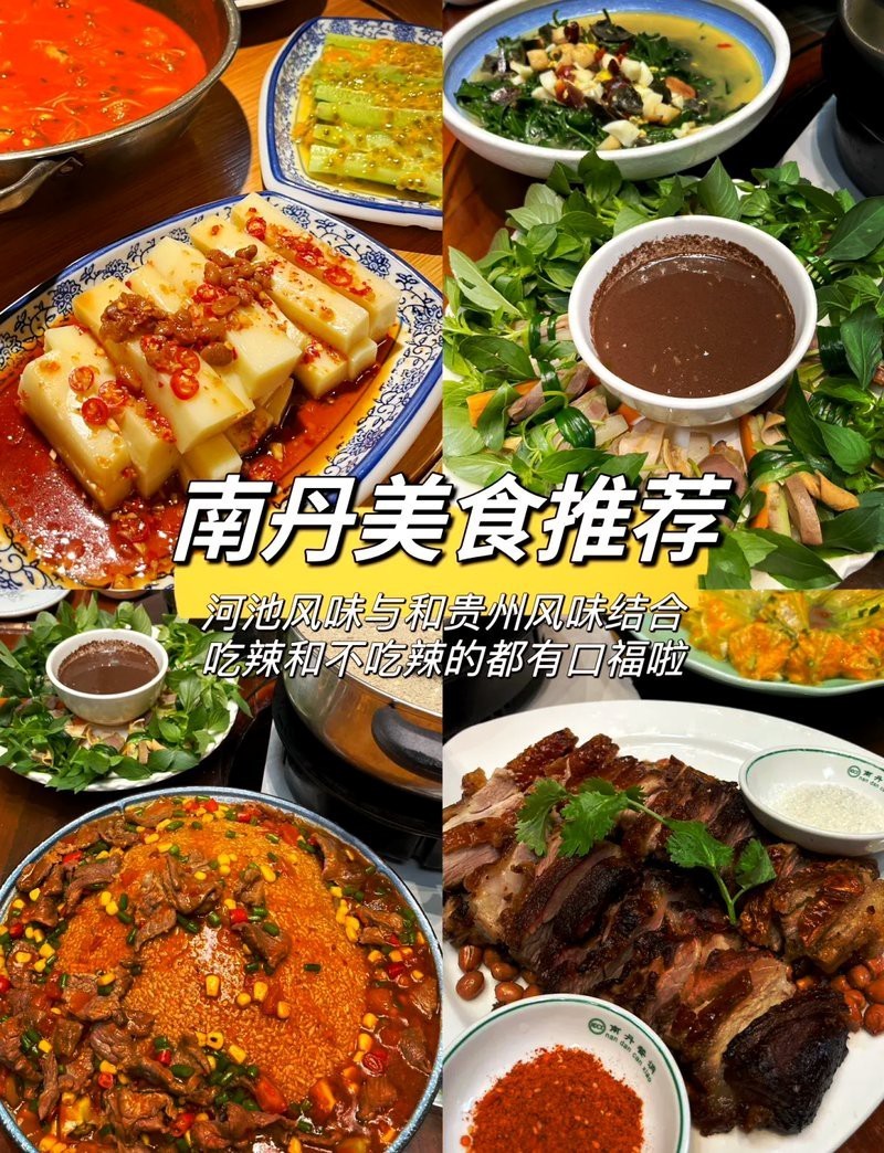 南丹龍魚店，南丹地區(qū)有沒有龍魚店
