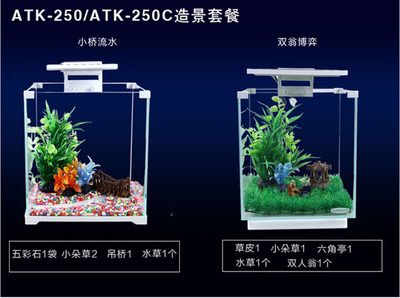 玻璃圓魚缸造景：關于玻璃圓魚缸造景的一些信息