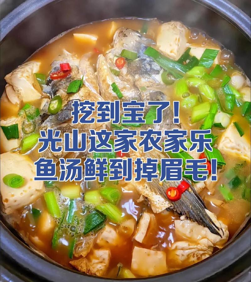 光山龍魚店，光山有哪些特色魚農(nóng)家樂魚湯鮮到掉眉毛萌爪涂涂