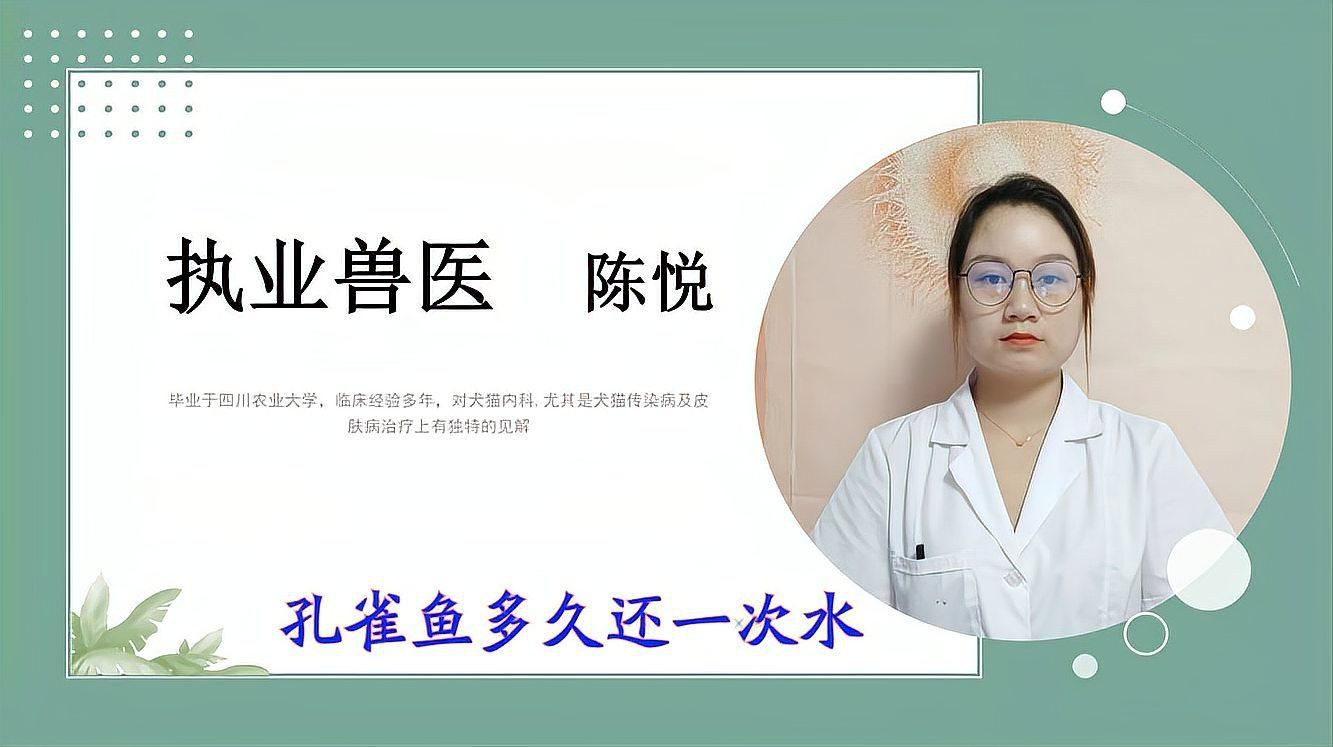 孔雀魚多久換一次水?,《孔雀魚多久換一次水》孔雀魚多久換一次水呢獸醫何素華 龍魚百科 第2張 孔雀魚多久換一次水?,《孔雀魚多久換一次水》孔雀魚多久換一次水呢獸醫何素華 孔雀魚多久換一次水?,《孔雀魚多久換一次水》孔雀魚多久換一次水呢獸醫何素華 龍魚百科 第2張