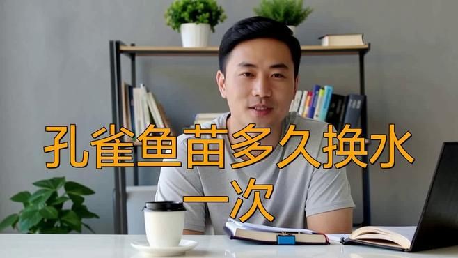 孔雀魚多久換一次水?,《孔雀魚多久換一次水》孔雀魚多久換一次水呢獸醫何素華 龍魚百科 第4張 孔雀魚多久換一次水?,《孔雀魚多久換一次水》孔雀魚多久換一次水呢獸醫何素華 孔雀魚多久換一次水?,《孔雀魚多久換一次水》孔雀魚多久換一次水呢獸醫何素華 龍魚百科 第4張