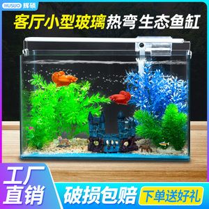 草缸魚缸和水族箱區別：草缸、魚缸和水族箱的區別 草缸魚缸和水族箱區別：草缸、魚缸和水族箱的區別 魚缸百科 第3張
