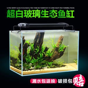 草缸魚缸和水族箱區別：草缸、魚缸和水族箱的區別 草缸魚缸和水族箱區別：草缸、魚缸和水族箱的區別 魚缸百科 第1張