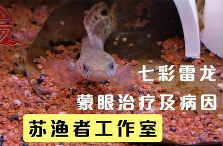 斯博特照明(斯博特公司簡介)