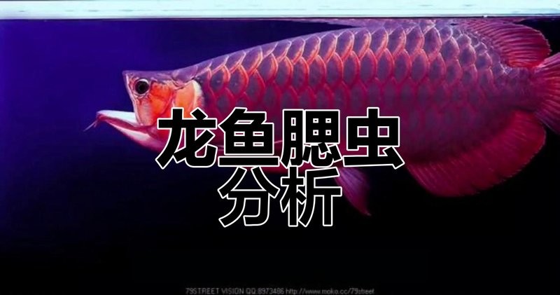 龍魚外傷感染有哪些癥狀？