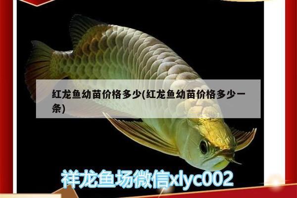 博特魚缸廠家在哪里啊知乎（博特魚缸廠家在哪里啊知乎）