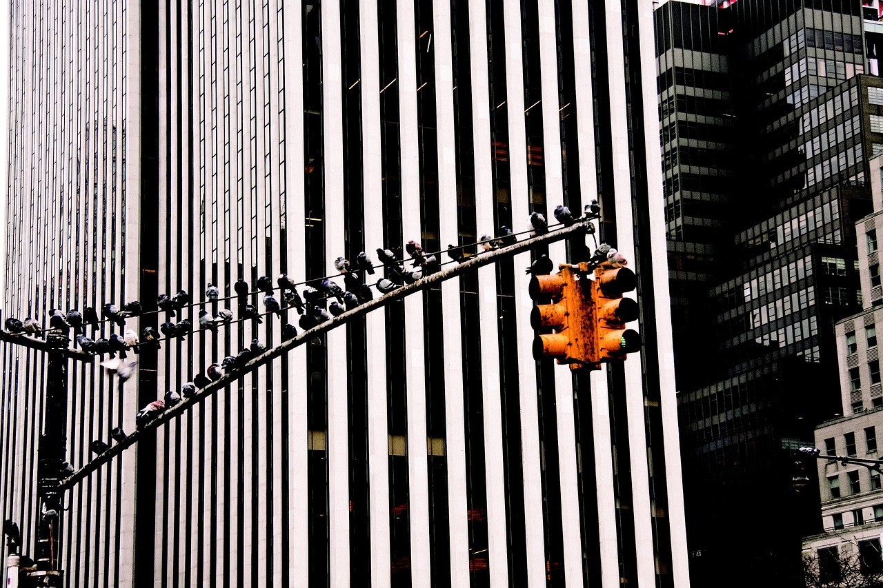 馬來(lái)西亞博特拉大學(xué)官網(wǎng)中文版：馬來(lái)西亞博特拉大學(xué)相當(dāng)于中國(guó)什么大學(xué) 馬來(lái)西亞博特拉大學(xué)官網(wǎng)中文版：馬來(lái)西亞博特拉大學(xué)相當(dāng)于中國(guó)什么大學(xué) 博特水族 第2張