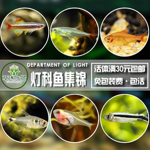 博特拉大學宣傳片(博特拉大學相當于國內的什么水平)