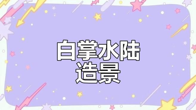 水族箱布置創意方案，《水族箱布置創意方案》本方案聚焦于水族箱的創意布置
