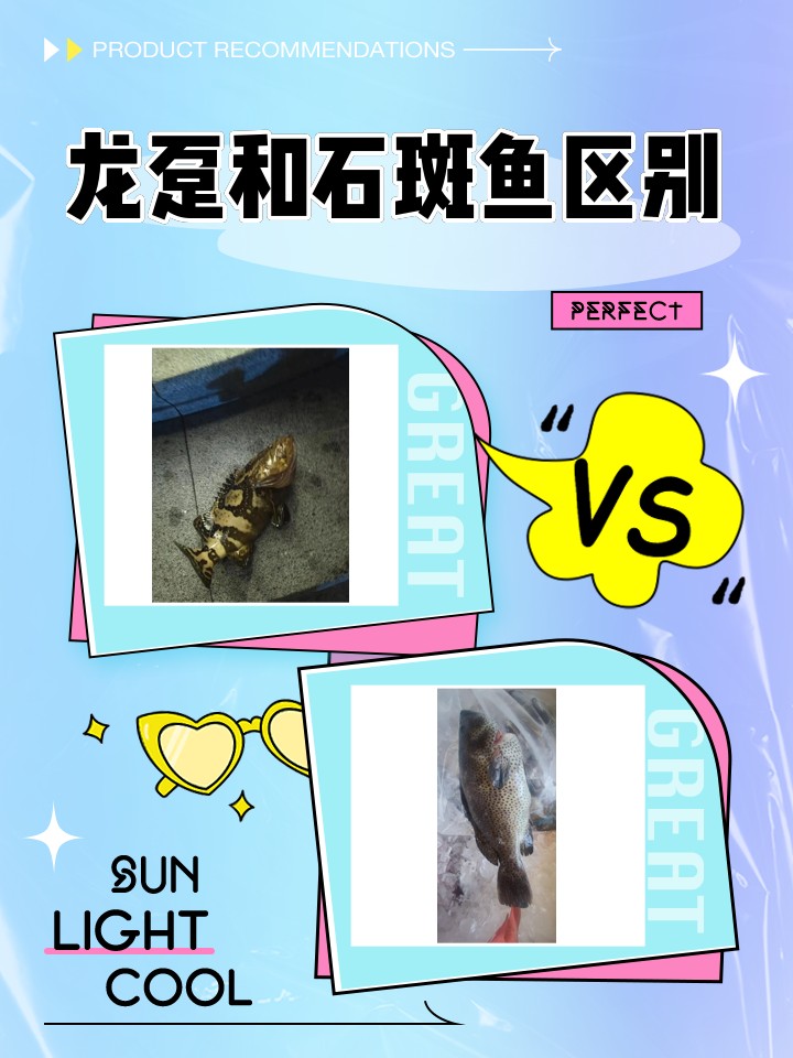 50斤龍躉魚多少錢一斤，巨型龍躉魚一斤多少錢？ 50斤龍躉魚多少錢一斤，巨型龍躉魚一斤多少錢？ 龍魚論壇 第5張