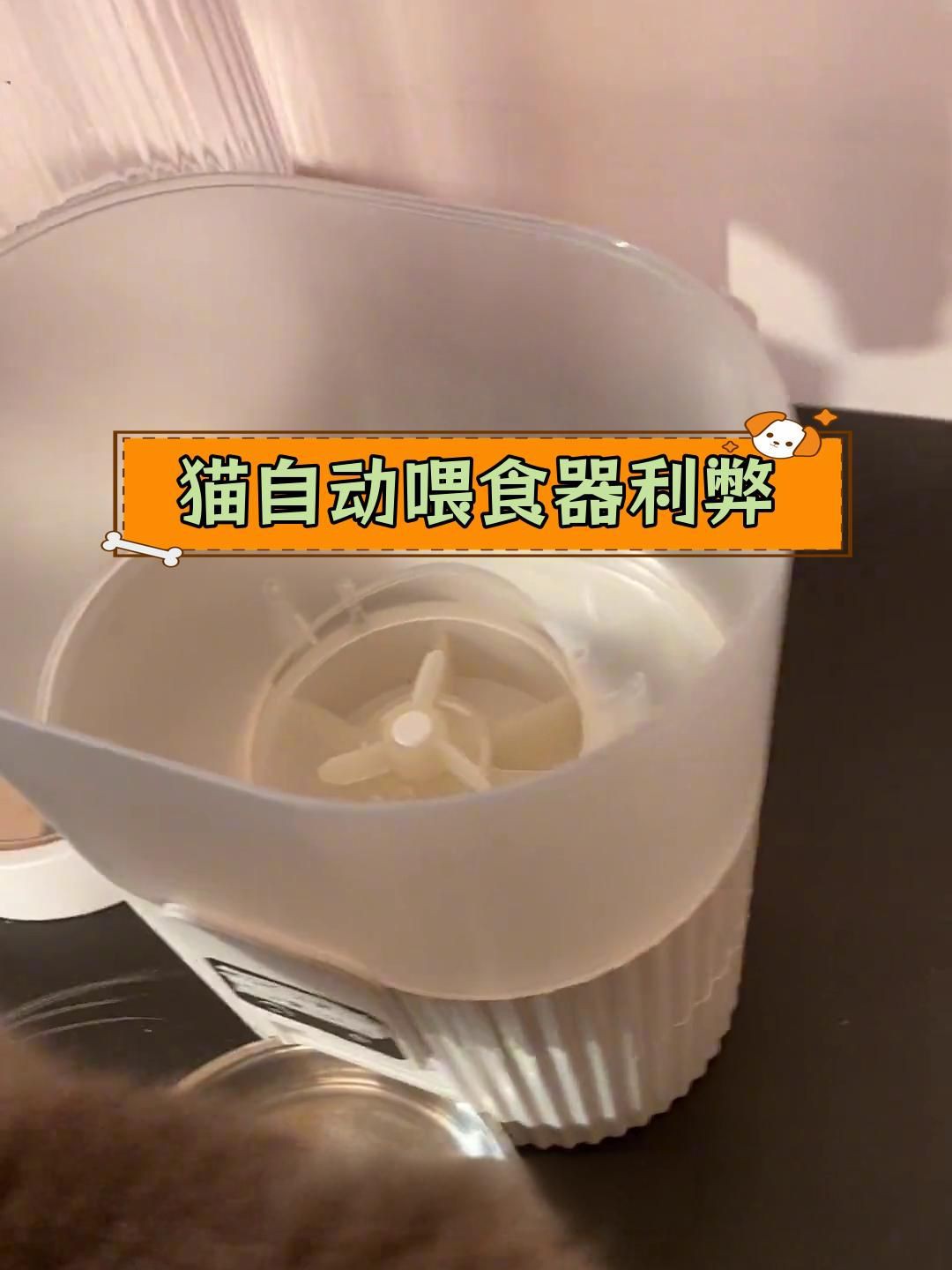 貓自動喂食器利弊，《貓自動喂食器利弊》