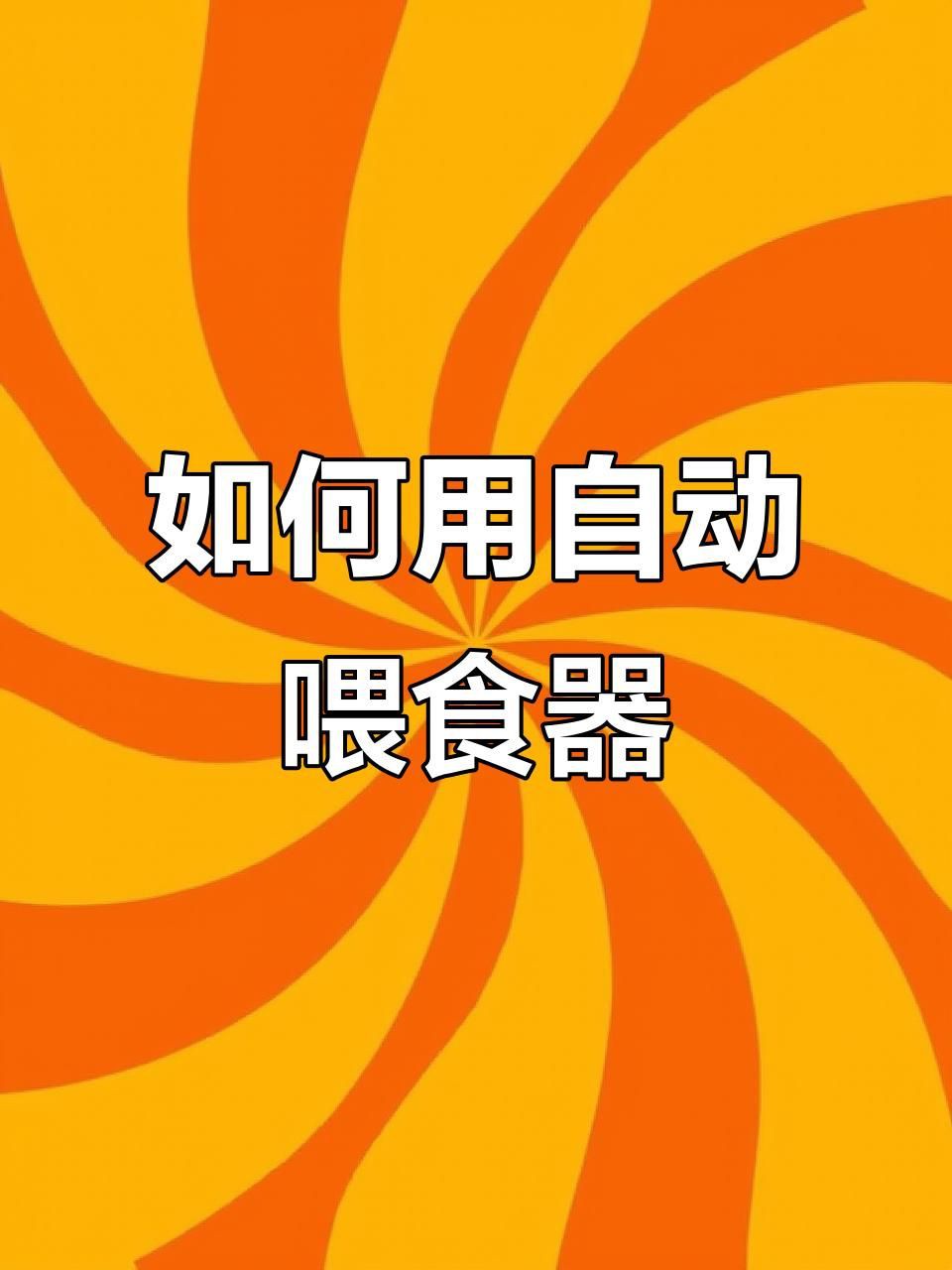 貓自動喂食器利弊，《貓自動喂食器利弊》