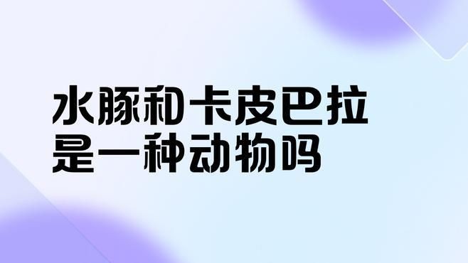 卡皮巴拉和水豚的區別在哪，卡皮巴拉與水豚有什么區別？