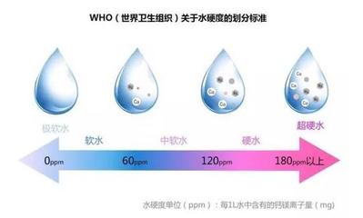 過背金龍魚水溫百科，過背金龍魚水溫多少度最好
