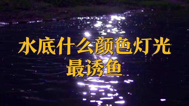 晚上照水下魚用黃燈還是白燈,夜晚釣魚燈光技巧,四種顏色誘魚效果大揭秘 龍魚百科 第2張 晚上照水下魚用黃燈還是白燈,夜晚釣魚燈光技巧,四種顏色誘魚效果大揭秘 晚上照水下魚用黃燈還是白燈,夜晚釣魚燈光技巧,四種顏色誘魚效果大揭秘 龍魚百科 第2張