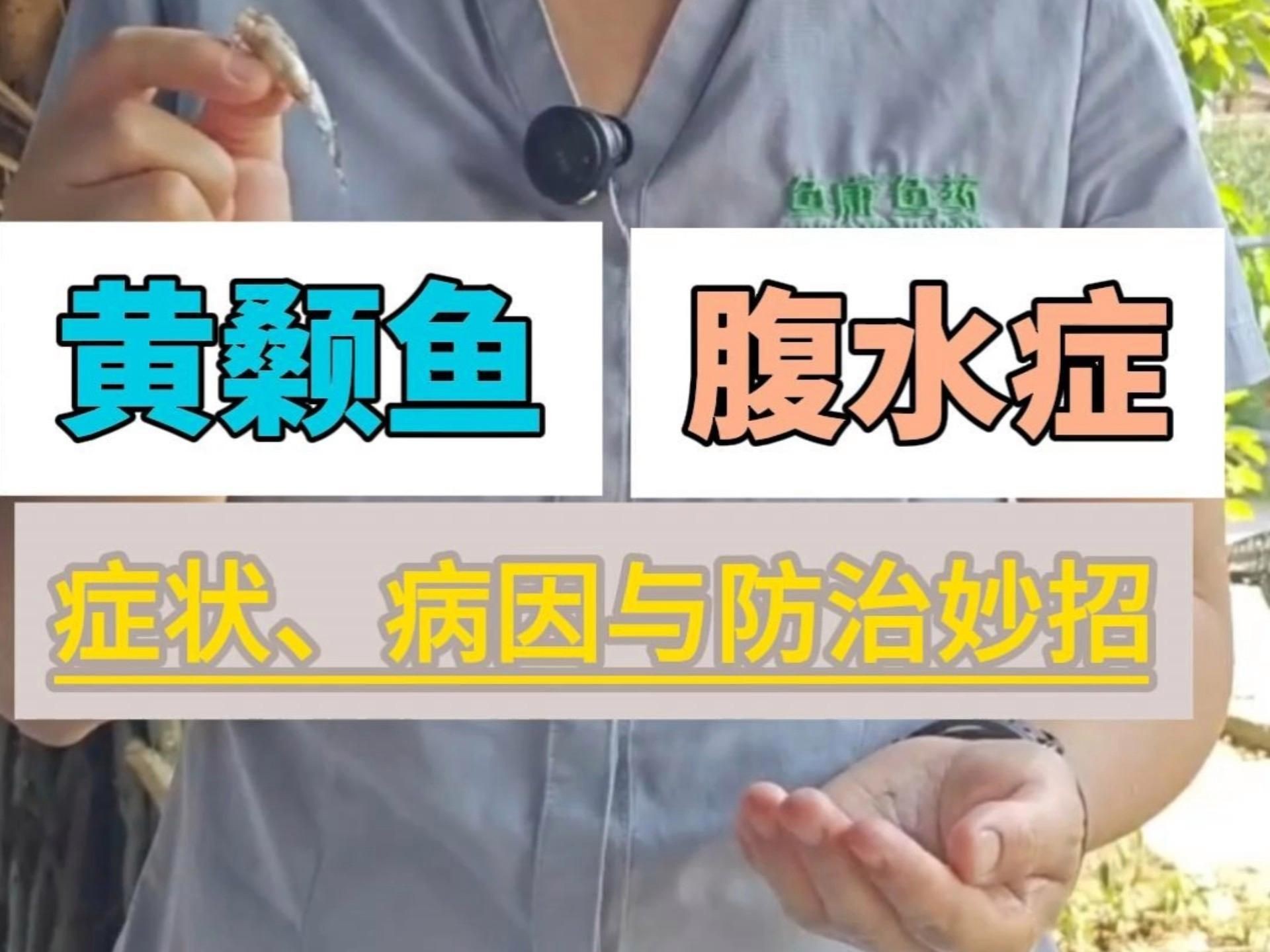 有哪些魚類容易患腹水，黃顙魚腹水病原因及治療方案全民小視頻詳解