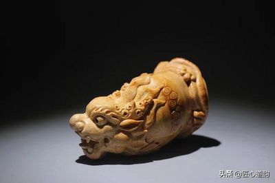 紅龍魚燈什么牌子好用一點的圖片（紅龍魚燈什么牌子好用一點的圖片視頻）