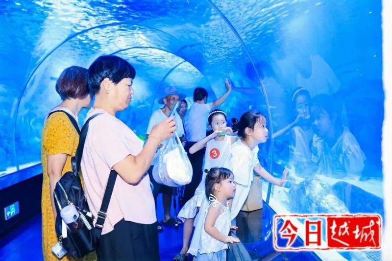 柯橋水族店，柯橋有哪些水族店淺墨水族館的聯(lián)系方式是什么