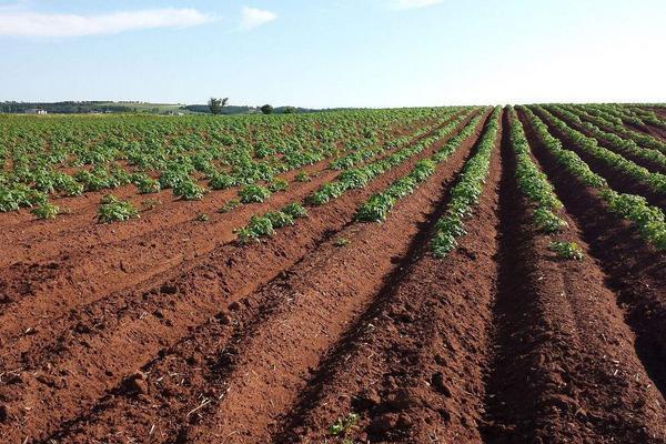 博特魚缸廠家在哪里啊多少錢(博特魚缸為什么那么貴)