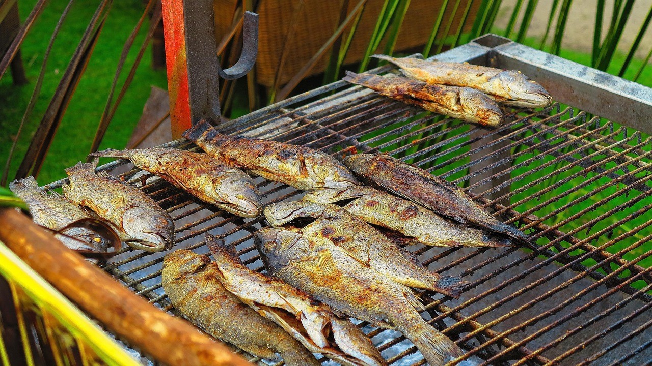 金龍魚多錢一條 金龍魚一般多少錢一條? 金龍魚多錢一條 金龍魚一般多少錢一條? 魚缸百科 第1張