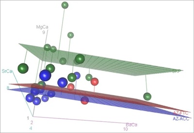 龍魚魚缸造景風格有哪些vs祥龍魚場：龍魚魚缸造景的多種風格
