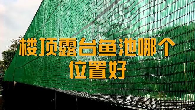 樓頂露臺魚池哪個位置好，樓頂露臺魚池位置選擇