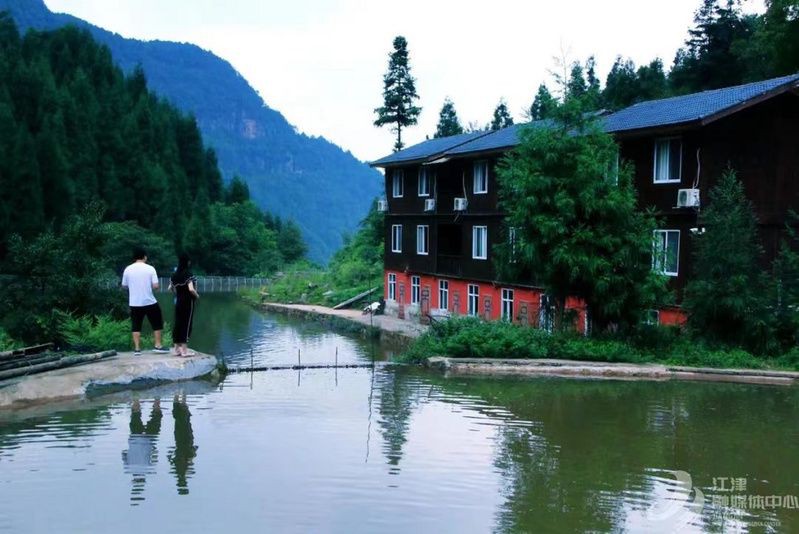 十大最漂亮的冷水魚，10大常見冷水觀賞魚優缺點分析，適合家養的選擇 十大最漂亮的冷水魚，10大常見冷水觀賞魚優缺點分析，適合家養的選擇 龍魚百科 第6張