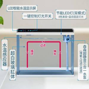 龍魚炸鱗土霉素用量多少vs祥龍魚場：龍魚炸鱗土霉素用量多少vs祥龍魚場龍魚品種介紹
