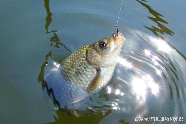 森森魚缸h2a6說明書