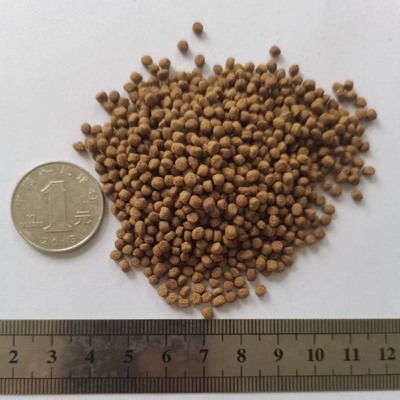 銀龍魚50cm多少錢(60cm的銀龍魚價格) 銀龍魚百科 第2張 銀龍魚50cm多少錢(60cm的銀龍魚價格) 銀龍魚50cm多少錢(60cm的銀龍魚價格) 銀龍魚百科 第2張