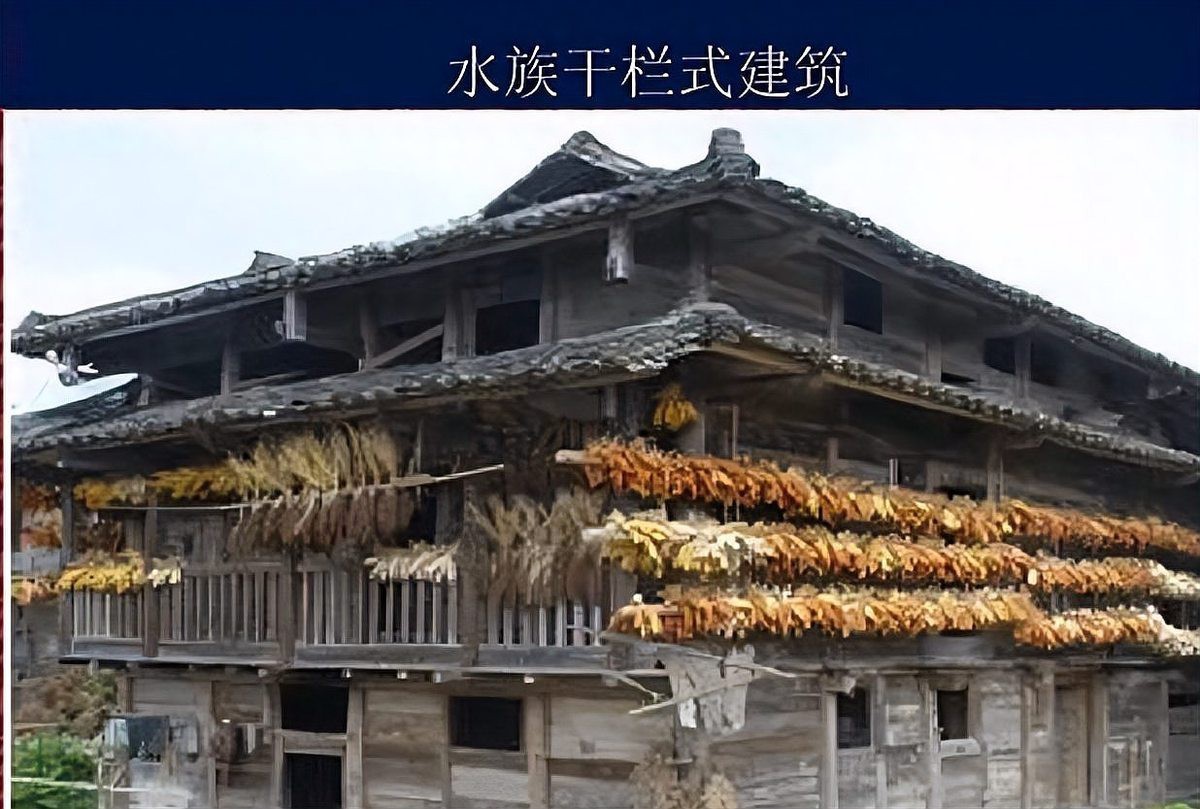 彝良水族店，彝良縣有水族風情街的具體位置