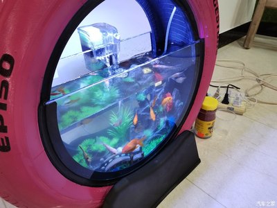 準格爾旗奇幻觀賞魚店（準格爾旗奇幻觀賞魚店電話） 準格爾旗奇幻觀賞魚店（準格爾旗奇幻觀賞魚店電話） 全國水族館企業名錄