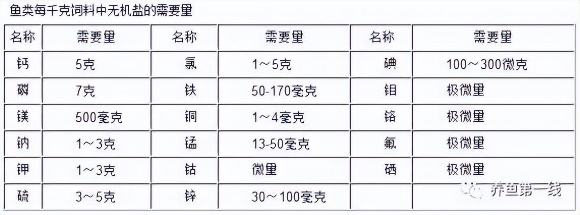 紅龍魚多久能長大啊