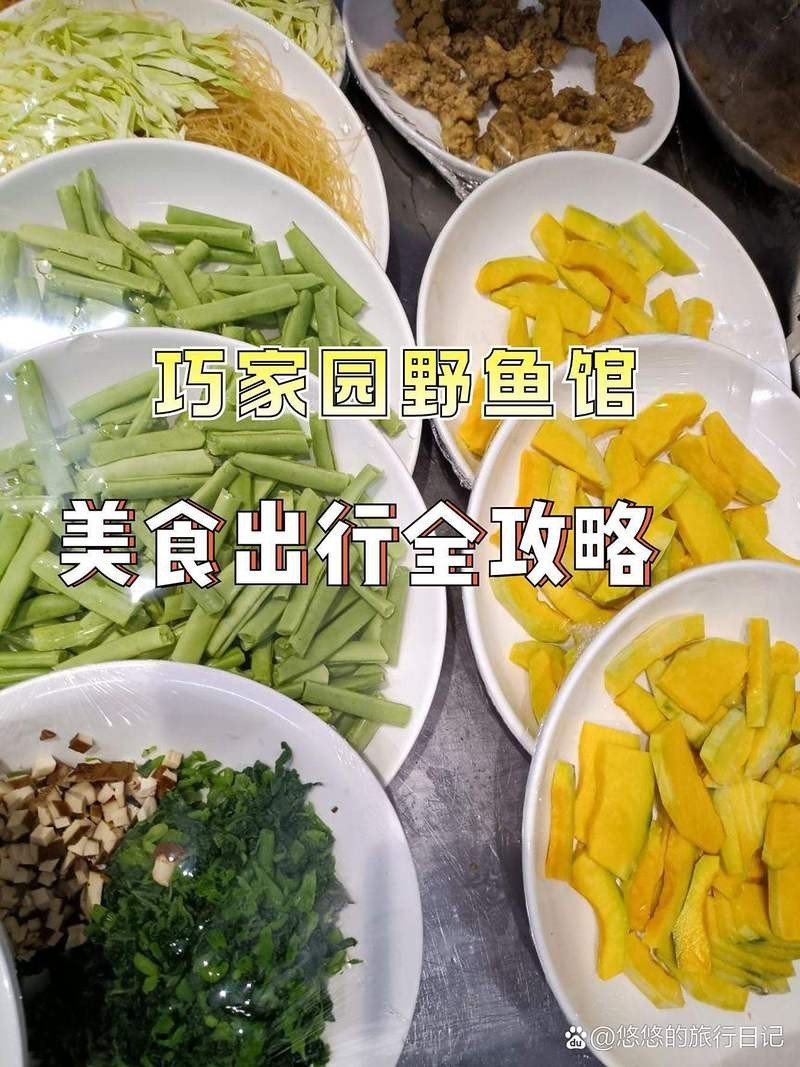 巧家龍魚店，巧家園野魚館 巧家龍魚店，巧家園野魚館 全國水族館企業名錄 第1張