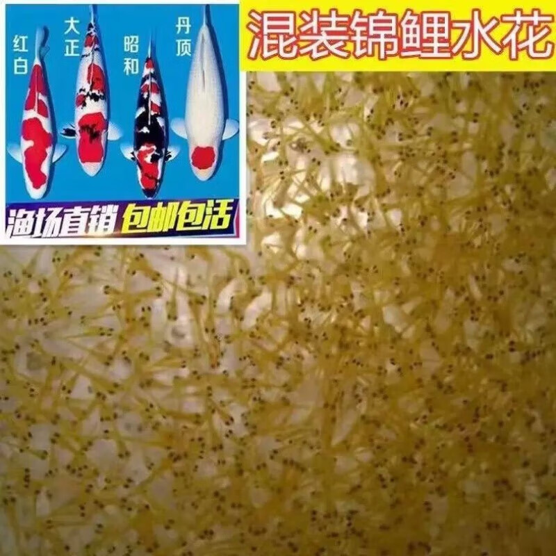 森森水草燈ade和ads區別：森森水草燈ade和ads系列的主要區別