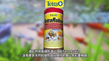 治療龍魚腸炎最好的藥物