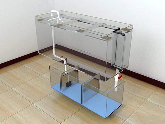 龍魚養(yǎng)殖技術(shù)培訓(xùn)vs祥龍魚場:龍魚養(yǎng)殖技術(shù)培訓(xùn)與祥龍魚場 vs祥龍魚場 第2張 龍魚養(yǎng)殖技術(shù)培訓(xùn)vs祥龍魚場:龍魚養(yǎng)殖技術(shù)培訓(xùn)與祥龍魚場 龍魚養(yǎng)殖技術(shù)培訓(xùn)vs祥龍魚場:龍魚養(yǎng)殖技術(shù)培訓(xùn)與祥龍魚場 vs祥龍魚場 第2張