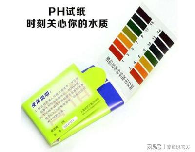 大魚缸如何安裝視頻教學：大型魚缸安裝視頻教學
