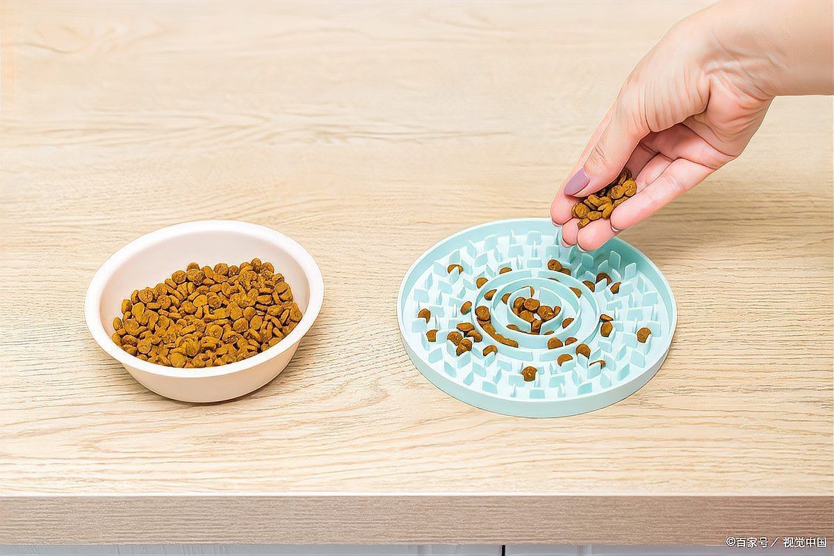 貓糧和魚糧的區別，《貓糧和魚糧的區別》