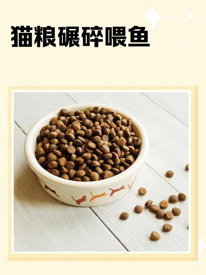 貓糧和魚糧的區別，《貓糧和魚糧的區別》