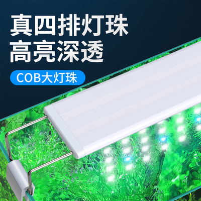 博特魚缸官網（博特魚缸官網代理查詢） 博特魚缸官網（博特魚缸官網代理查詢） 博特水族 第1張