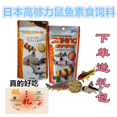 虎魚龍魚混養(yǎng)一定會打架嗎(龍魚虎魚混養(yǎng)打架怎么辦) 虎魚龍魚混養(yǎng)一定會打架嗎(龍魚虎魚混養(yǎng)打架怎么辦) 虎魚百科 第1張