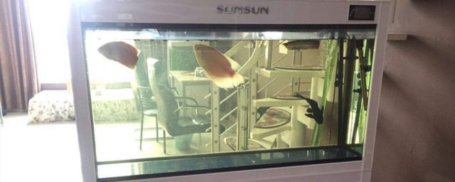 魚缸加熱棒顯示e3接設(shè)定鍵不起作用不知怎么解決(博特加熱器e3報(bào)警后怎么恢復(fù)) 博特水族 第2張 魚缸加熱棒顯示e3接設(shè)定鍵不起作用不知怎么解決(博特加熱器e3報(bào)警后怎么恢復(fù)) 魚缸加熱棒顯示e3接設(shè)定鍵不起作用不知怎么解決(博特加熱器e3報(bào)警后怎么恢復(fù)) 博特水族 第2張