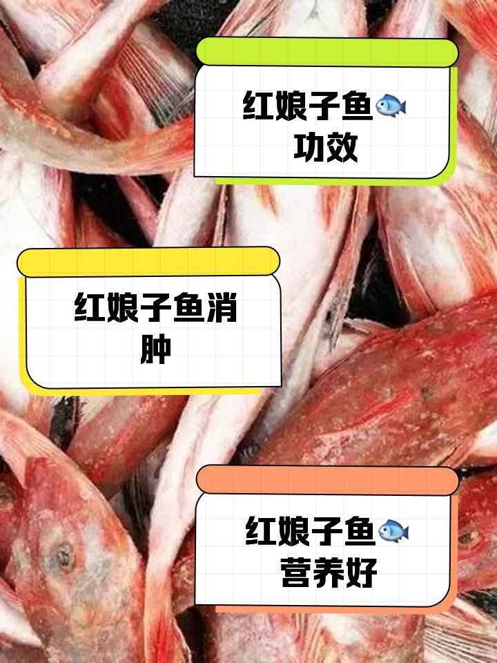 紅娘魚干的功效與作用，紅娘魚干有哪些傳統(tǒng)做法