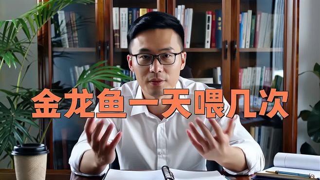 金龍魚視頻欣賞圖