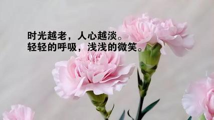 森森濾材擺放：森森濾材擺放指南