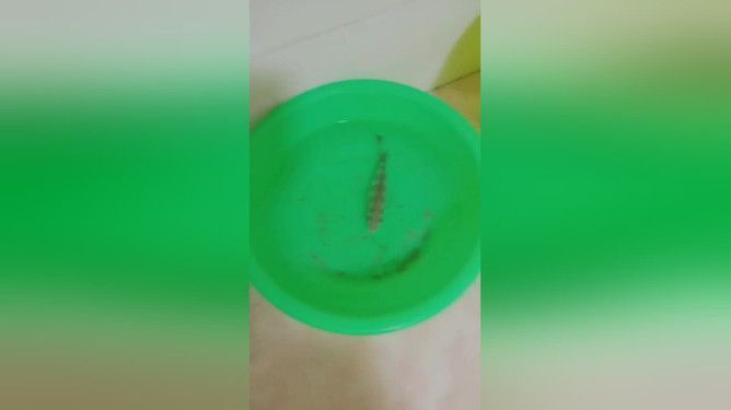 玻璃魚缸劃痕怎么修復 魚缸百科 第1張 玻璃魚缸劃痕怎么修復 玻璃魚缸劃痕怎么修復 魚缸百科 第1張