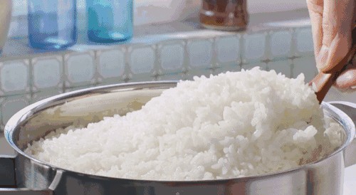 星點斑紋龍魚和星點龍魚哪種貴(星點龍魚和銀龍魚區別)