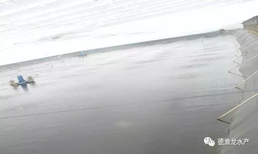 森森上濾魚(yú)缸HE800質(zhì)量怎么樣：森森上濾魚(yú)缸he800怎么樣 森森上濾魚(yú)缸HE800質(zhì)量怎么樣：森森上濾魚(yú)缸he800怎么樣 森森魚(yú)缸 第2張