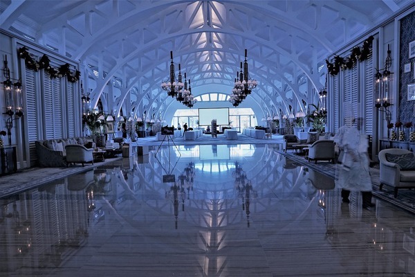 創星與森森：創星與森森各有其優勢和特點